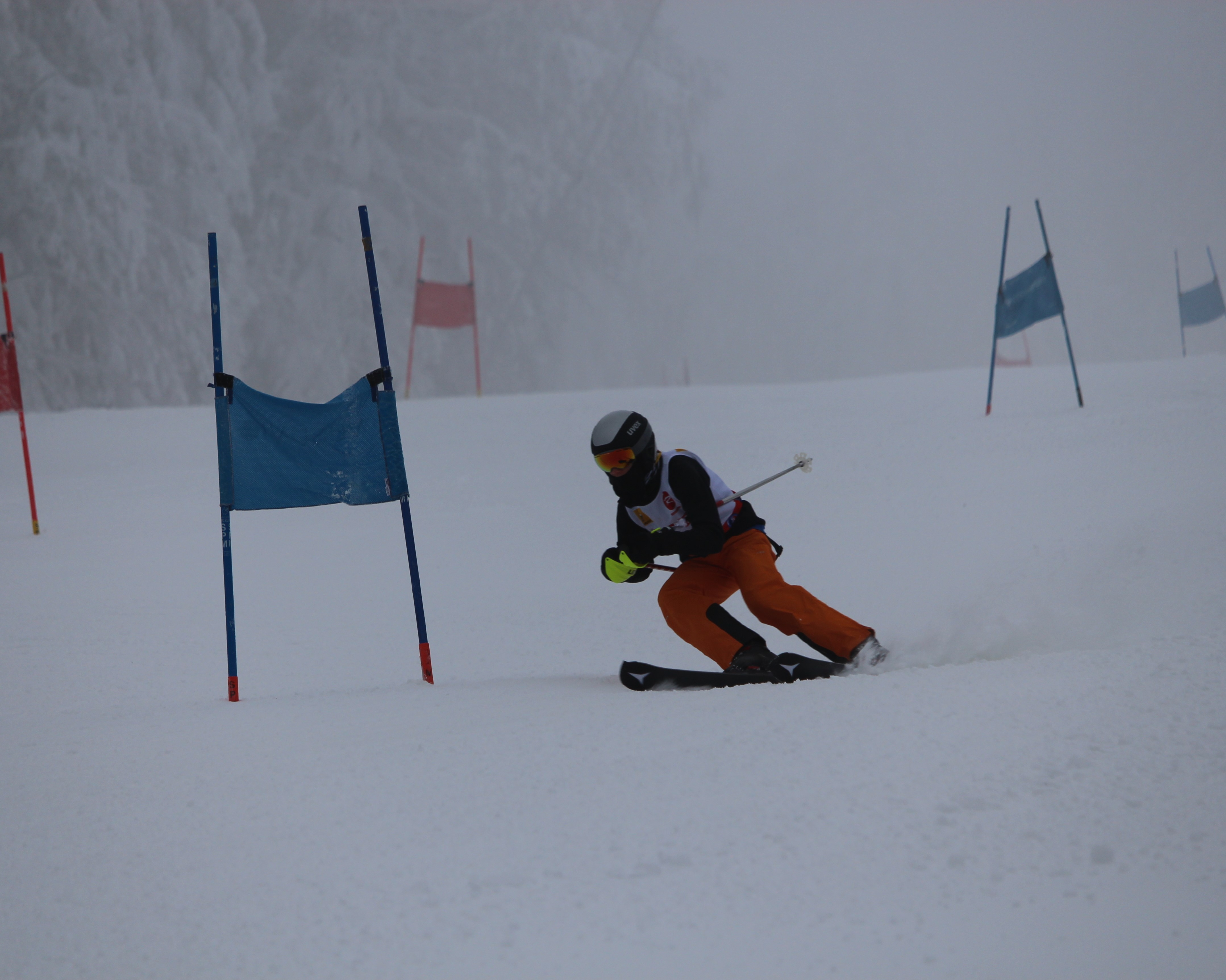 Visuel : Championnat de SKI Grand Est UGSEL  GERARDMER