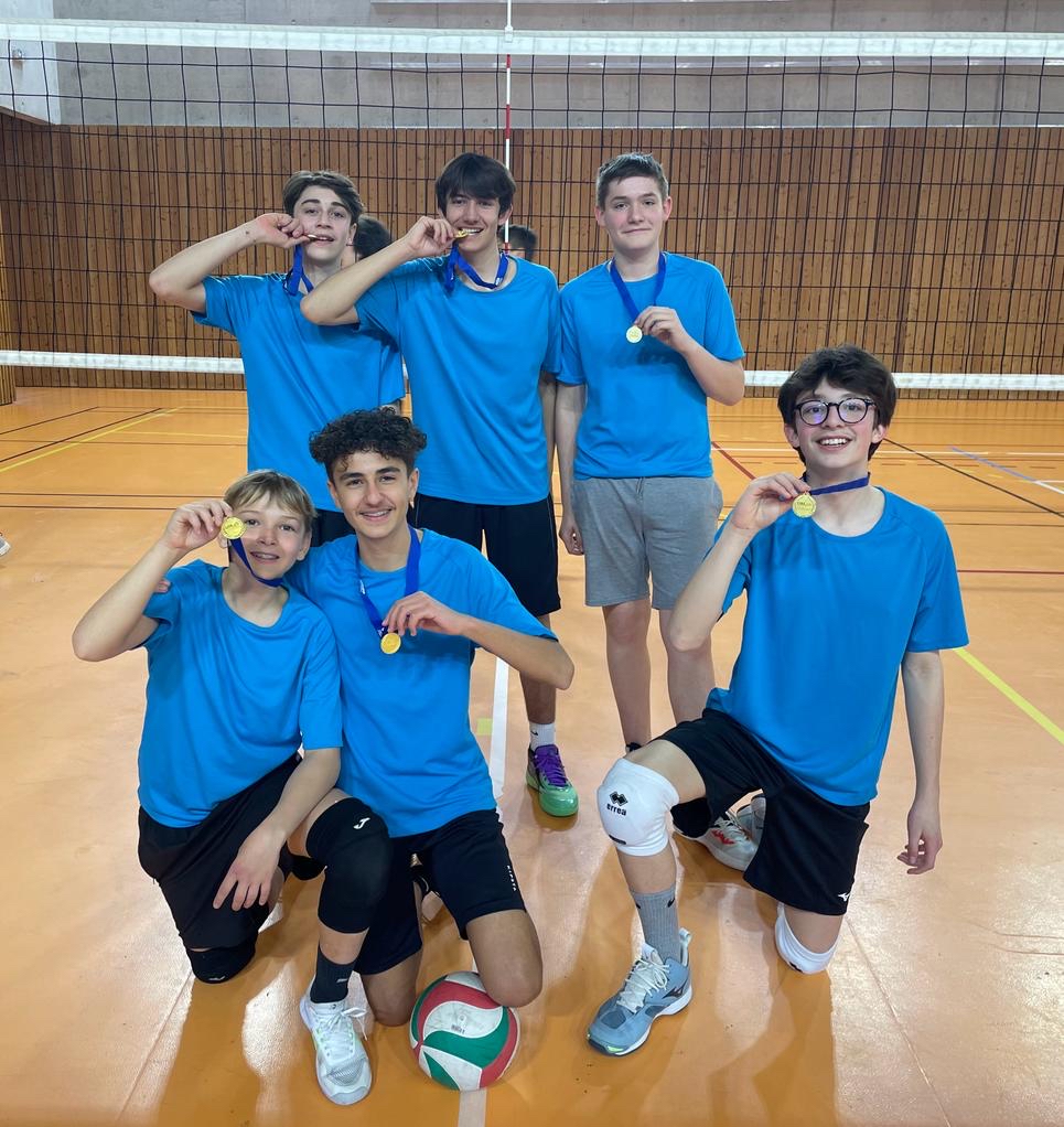 Visuel : Championnat Dpartemental de Volley