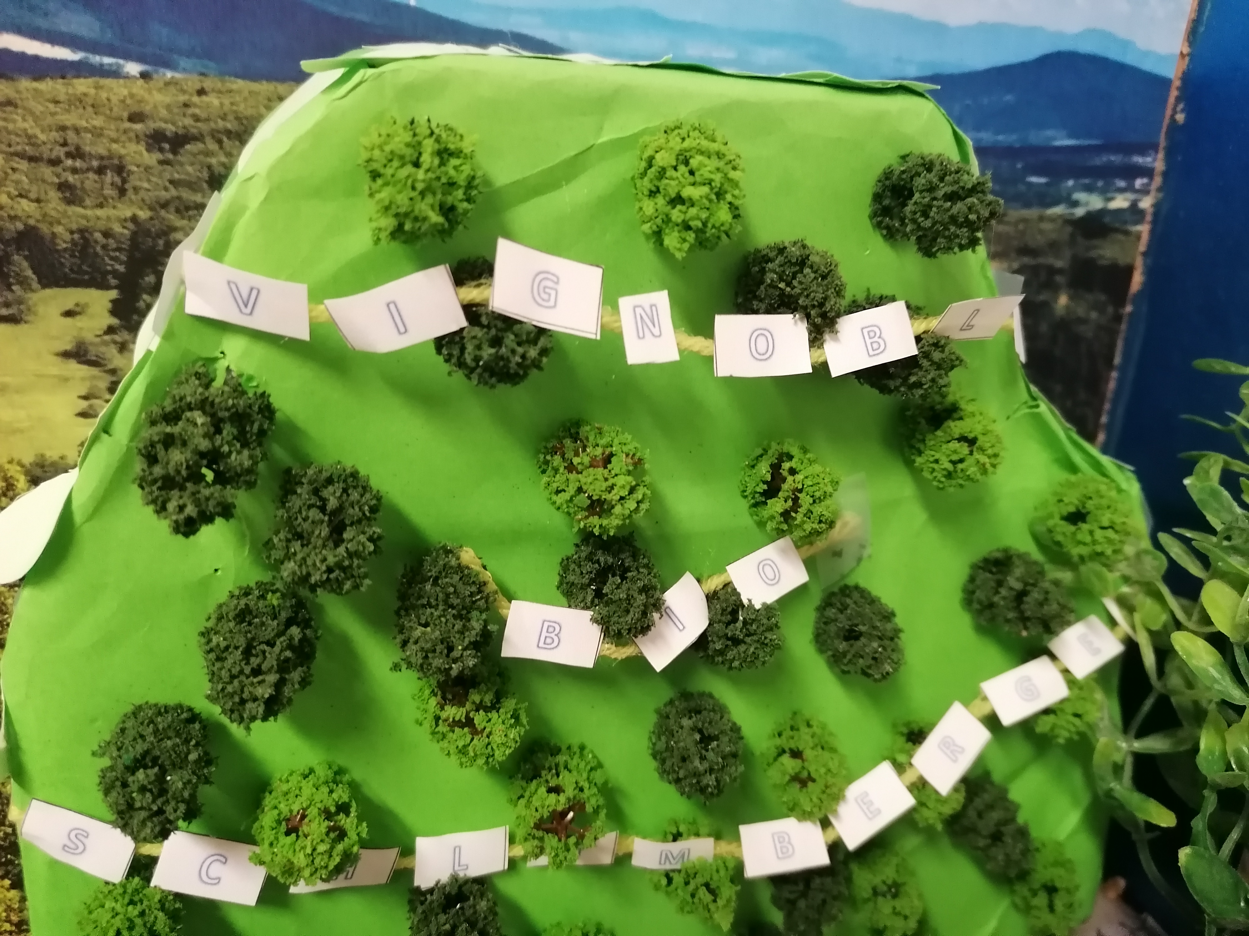 Visuel : Exposition de maquettes au CDI du Collge (suite)