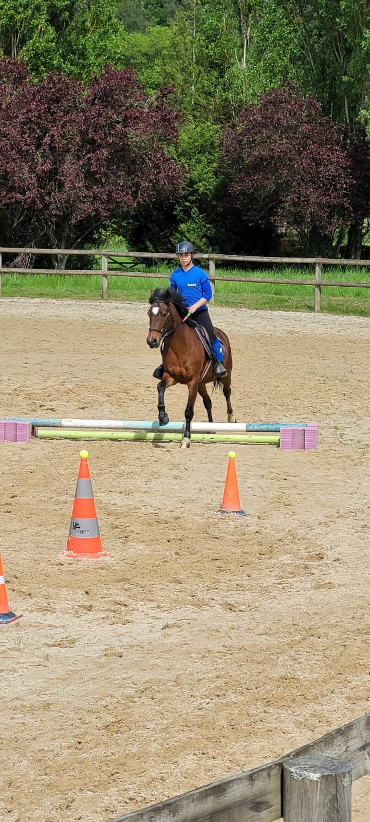Visuel : Championnat de France UNSS dquitation