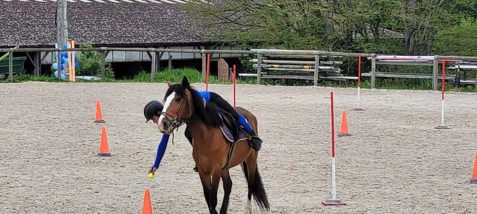 Visuel : Championnat de France UNSS dquitation