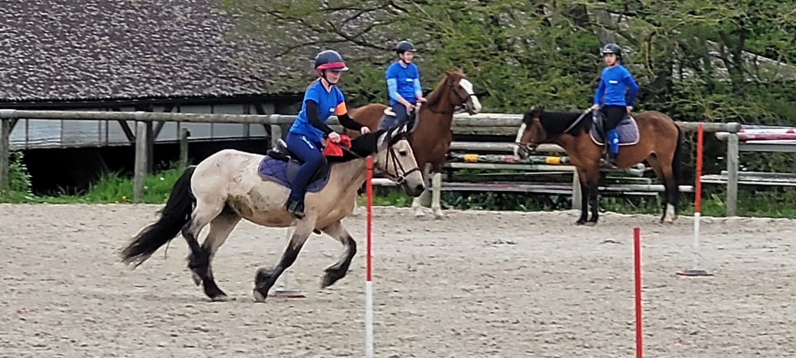 Visuel : Championnat de France UNSS dquitation