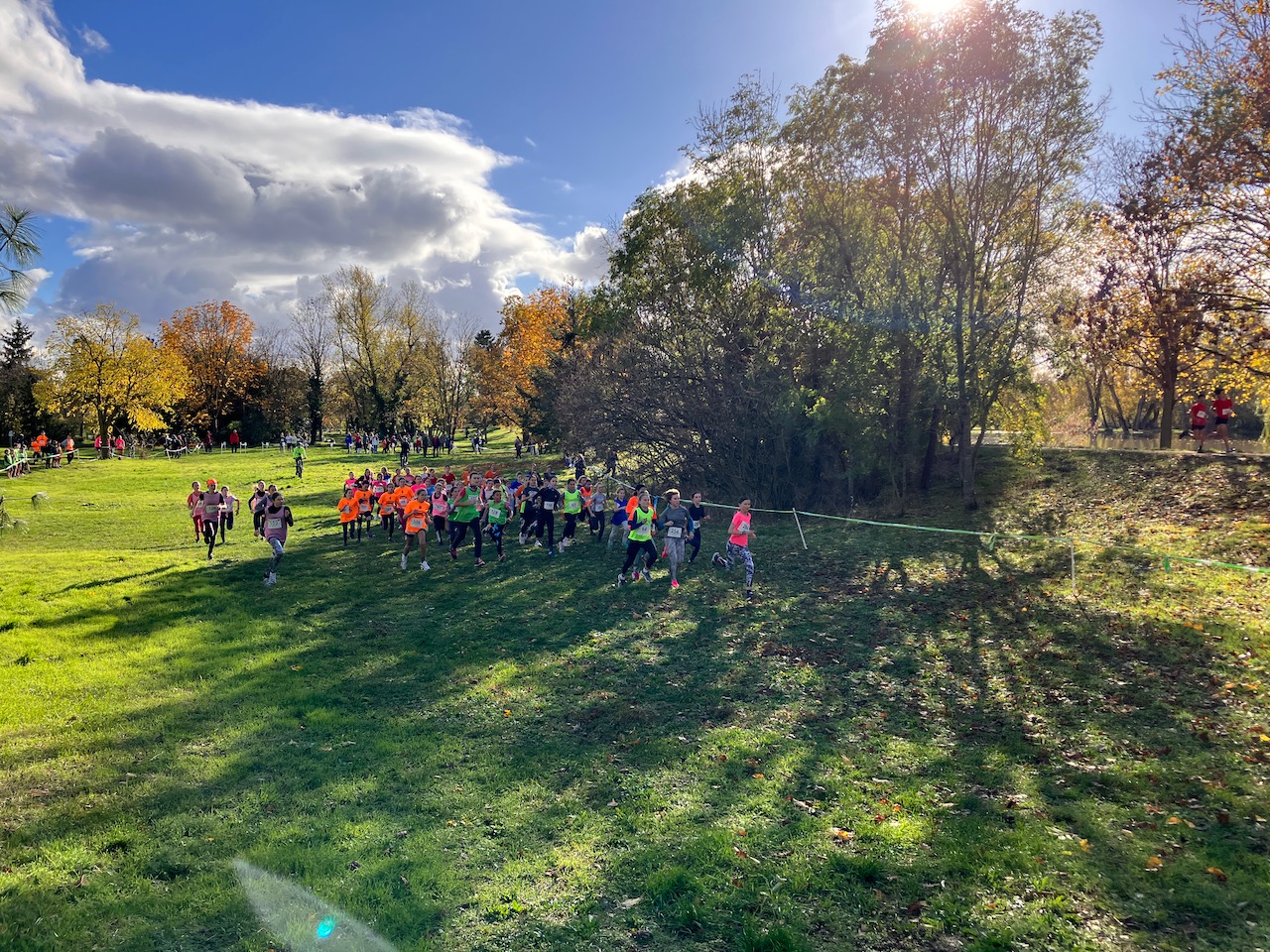 Visuel : CROSS INTERDISTRICT ENSISHEIM (suite)