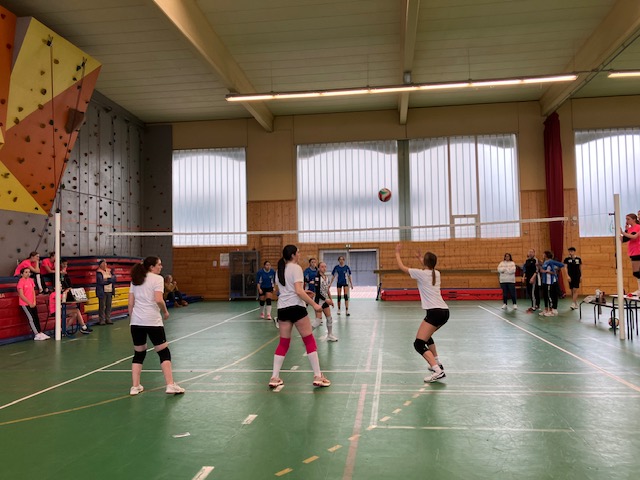 Visuel : Interdistricts UNSS de volleyball (suite)