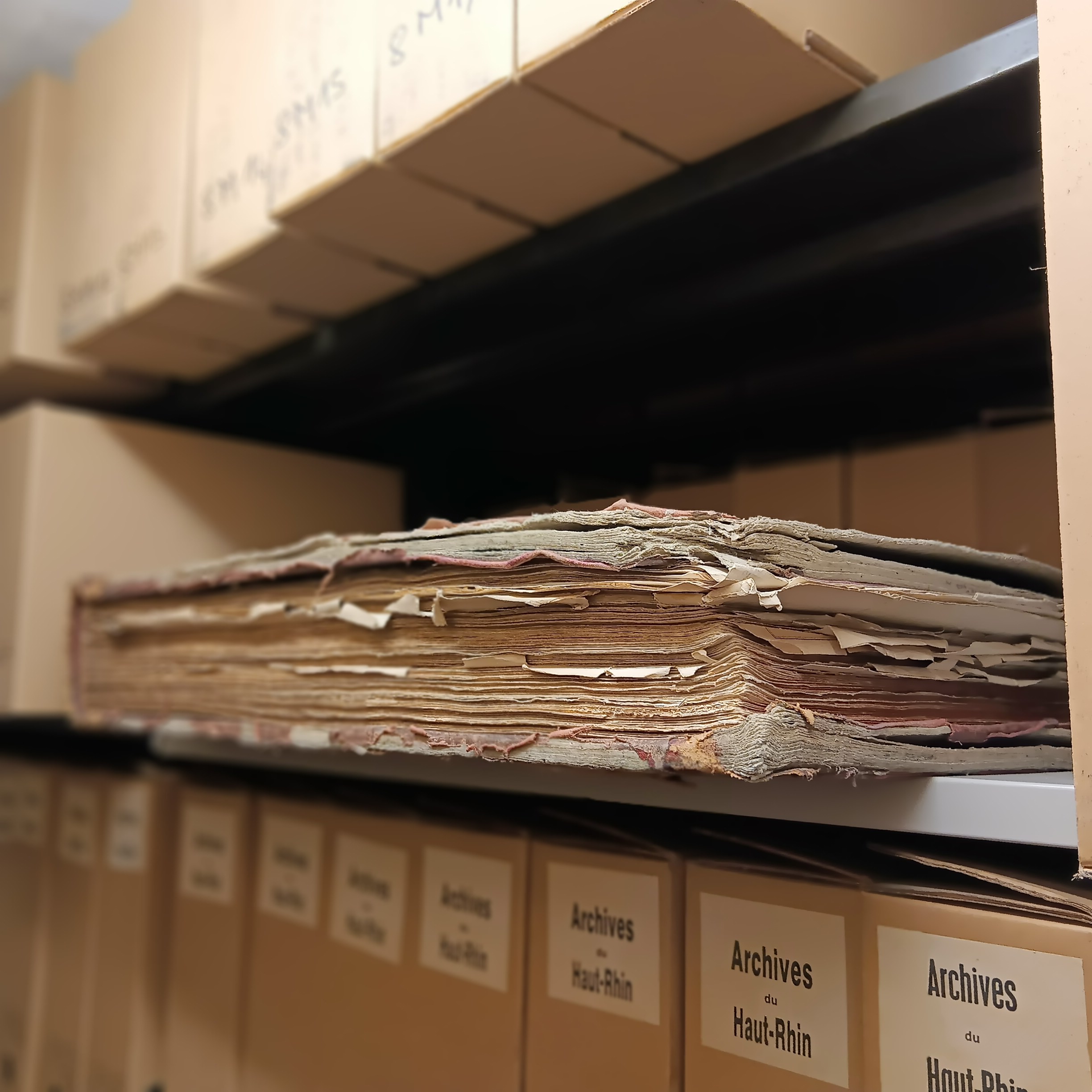Visuel : Sortie des 5D aux Archives de Colmar (suite et fin)