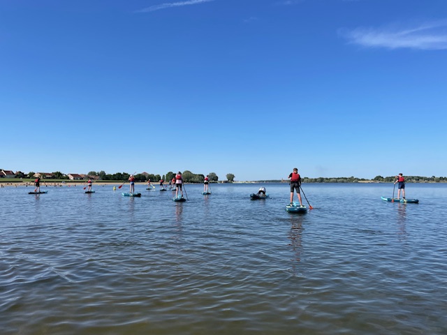 Visuel : Voyage au Lac de Der (suite)