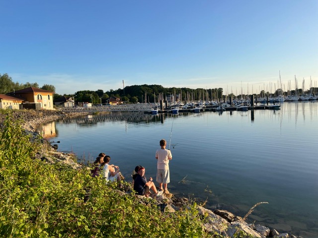 Visuel : Voyage au Lac de Der (suite)