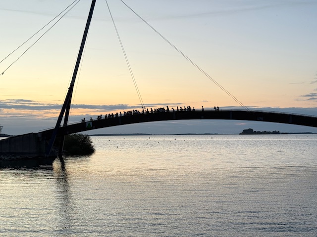 Visuel : Voyage au Lac de Der (suite)