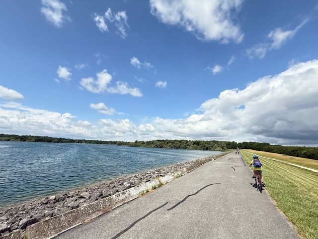 Visuel : Voyage au Lac de Der (suite et fin)