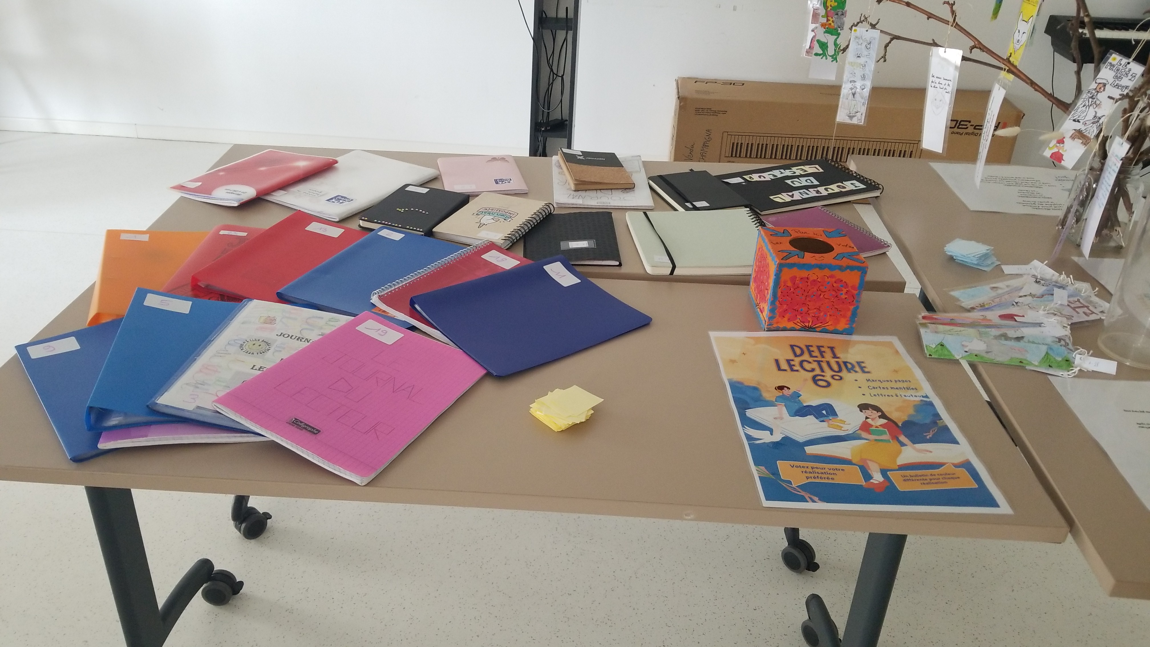 Visuel : Dfi lecture des 6DH