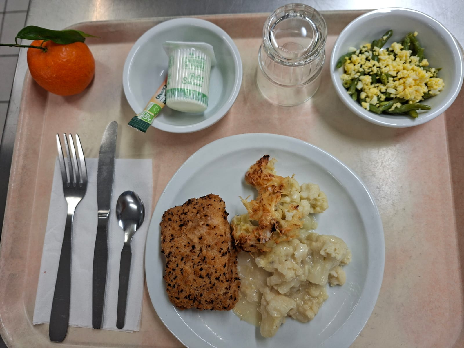 Visuel : Plateau type repas du jour