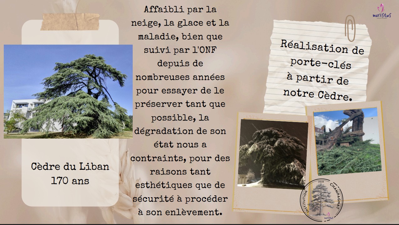 Visuel : Porte-cls du CVC