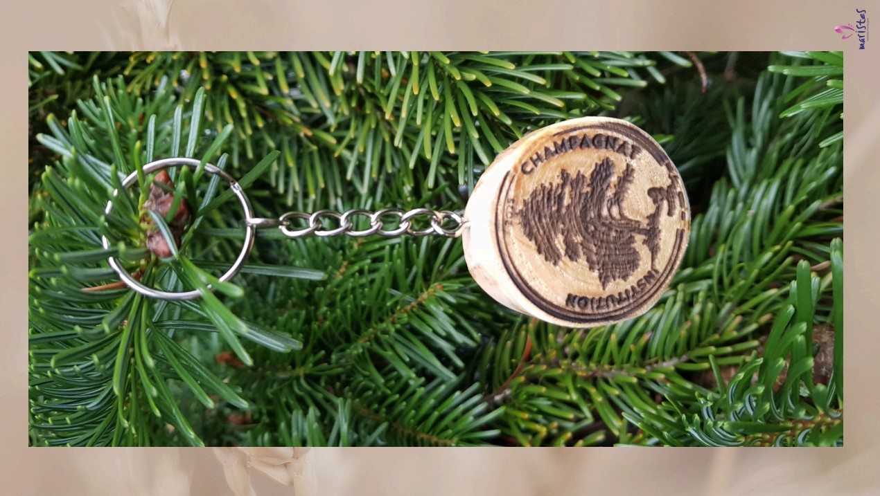 Visuel : Porte-cls du CVC