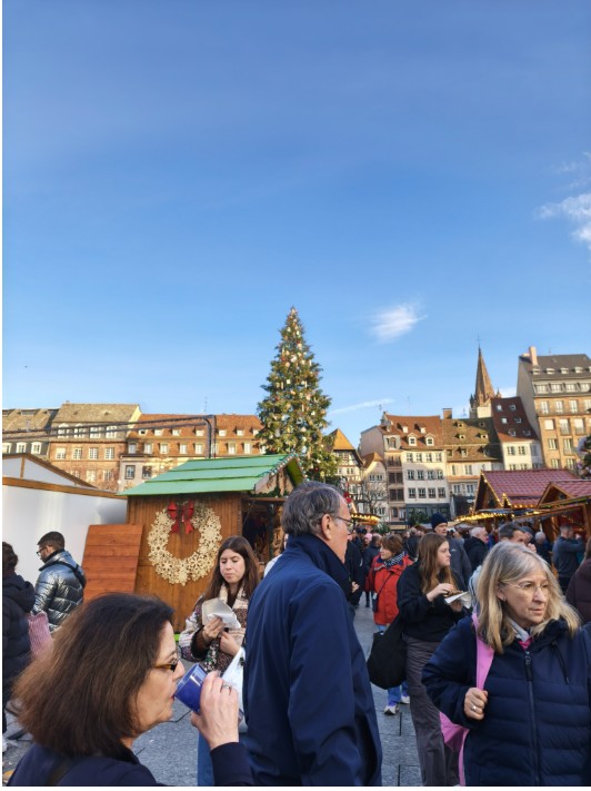Visuel : Sortie au Parlement Europen et au March de Nol de Strasbourg pour les 4A et 4E