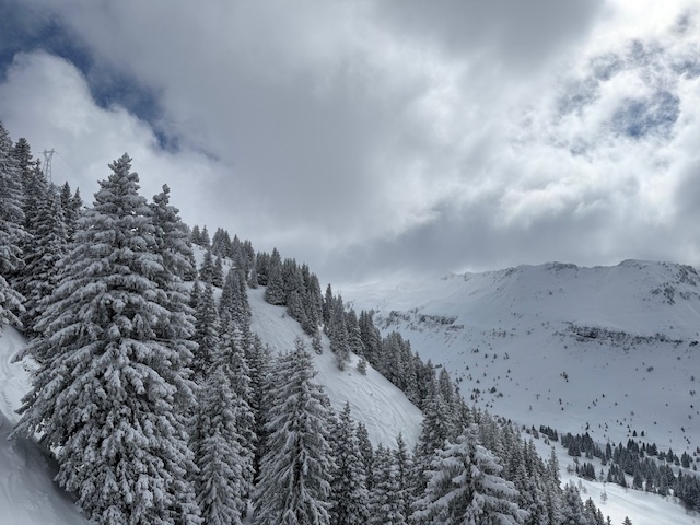 Visuel : Classe de neige des �l�ves de 5B et de 5G